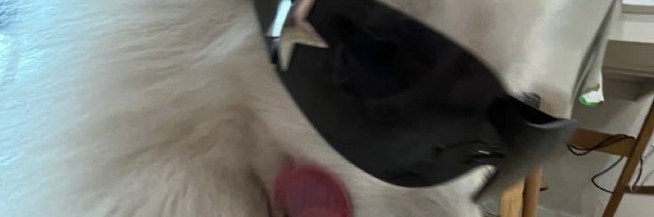 | 🌻 | banner