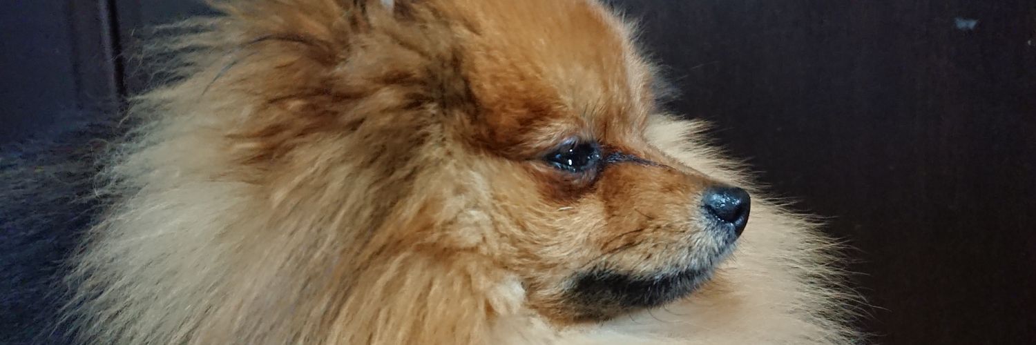abc012092's profile banner image