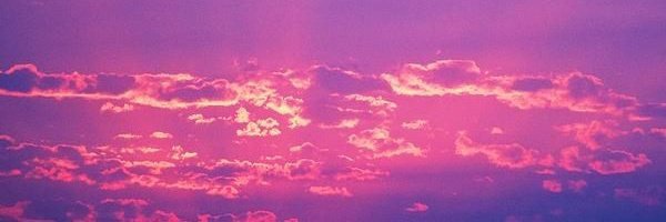 louisathyy's profile banner image