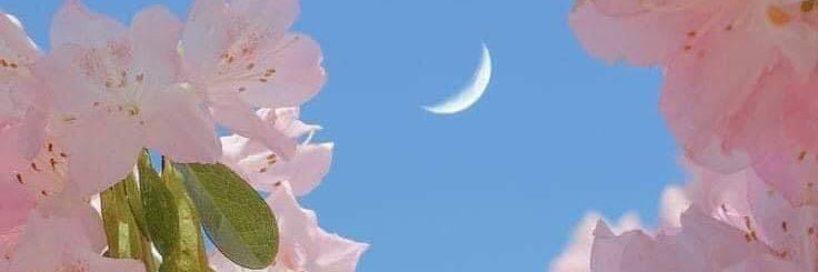 GisselMolas's profile banner image