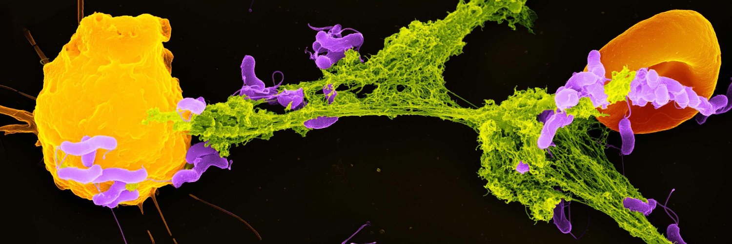 Max Planck Institute for Infection Biology's banner