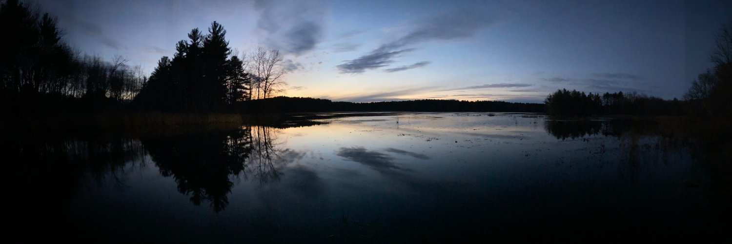 Marjorie Otterson | Design + Strategy x Healthcare banner