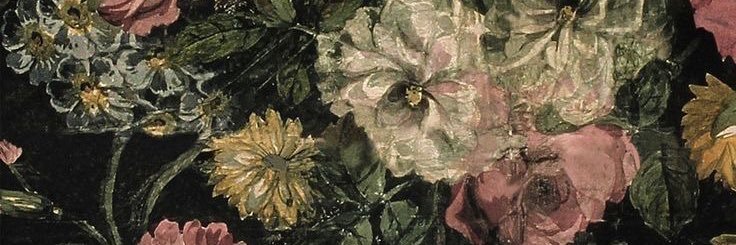 Anamrecio's profile banner image
