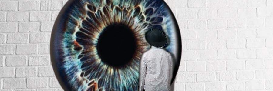 kibandres's profile banner image