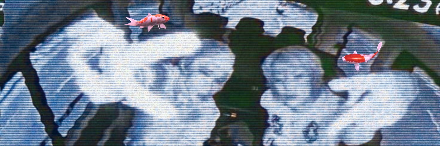 koi's banner