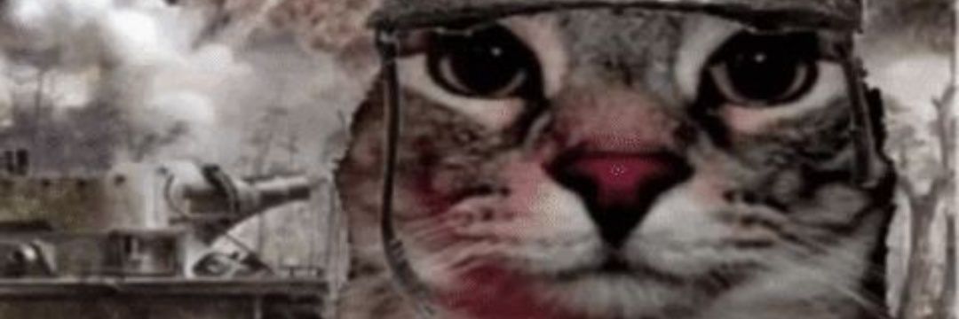 tia feri 🍉's banner