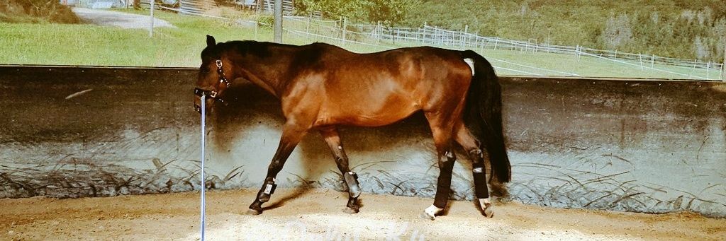 ☆ Corinna ☆ banner