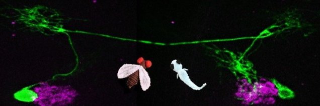 Katrin Vogt's banner