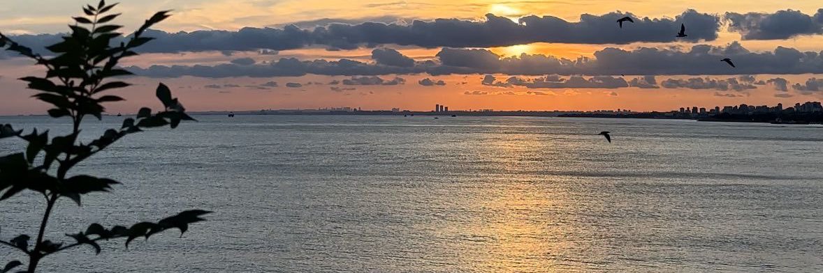 RveydaKo2's profile banner image