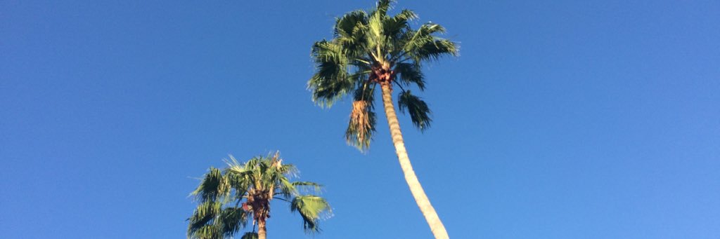BarbiCal's profile banner image
