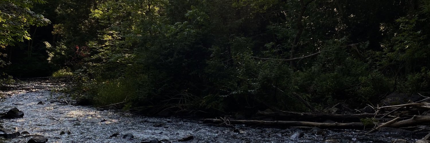 deathjoy_'s profile banner image