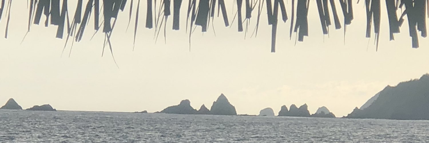 Ruth Z Torres banner