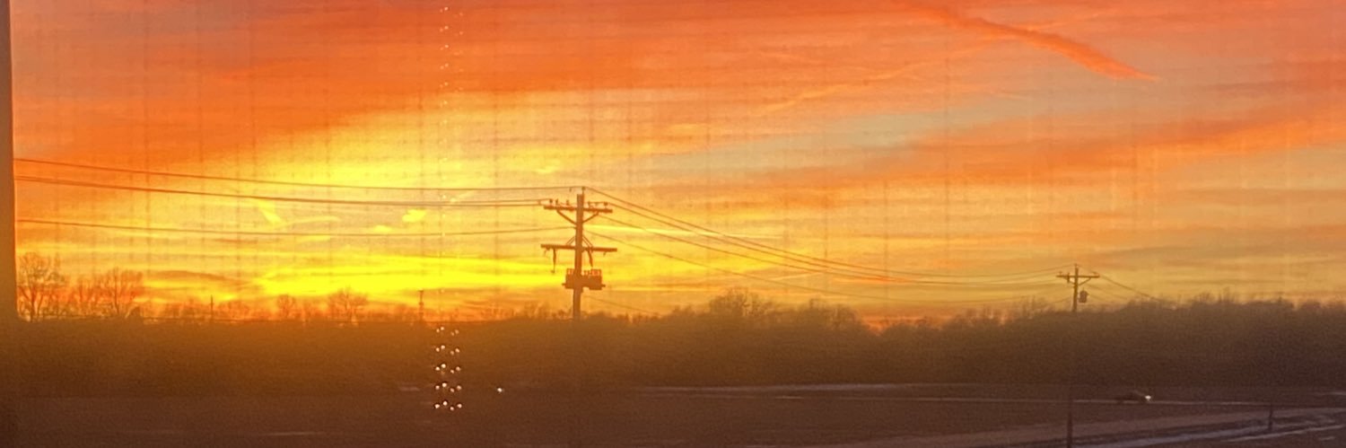 Isabel Geyer banner