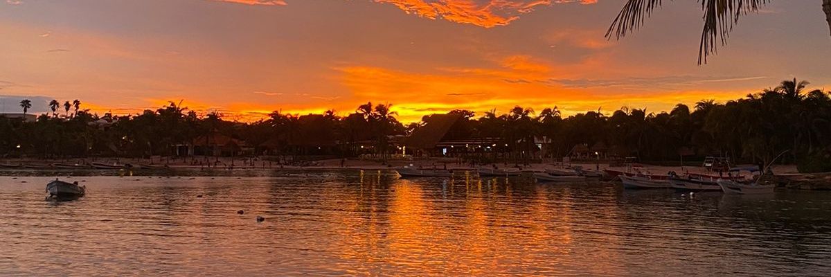 adrianvique's profile banner image