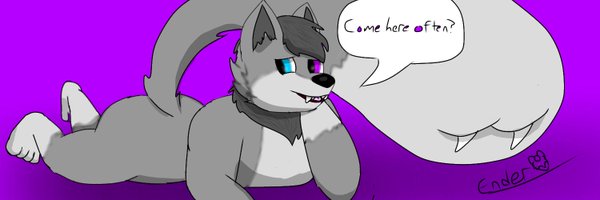 klawonn_devin Profile Banner