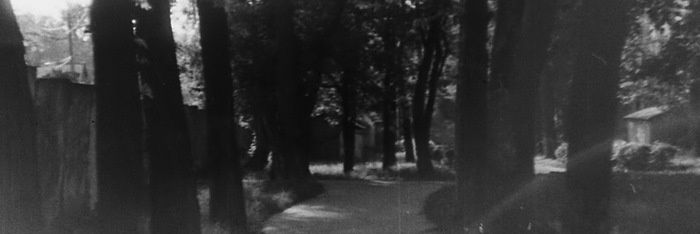 TheShadow_DM's profile banner image
