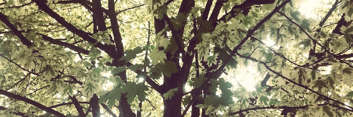 constabv's profile banner image