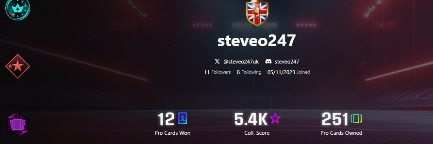 steveo247 🇬🇧 banner