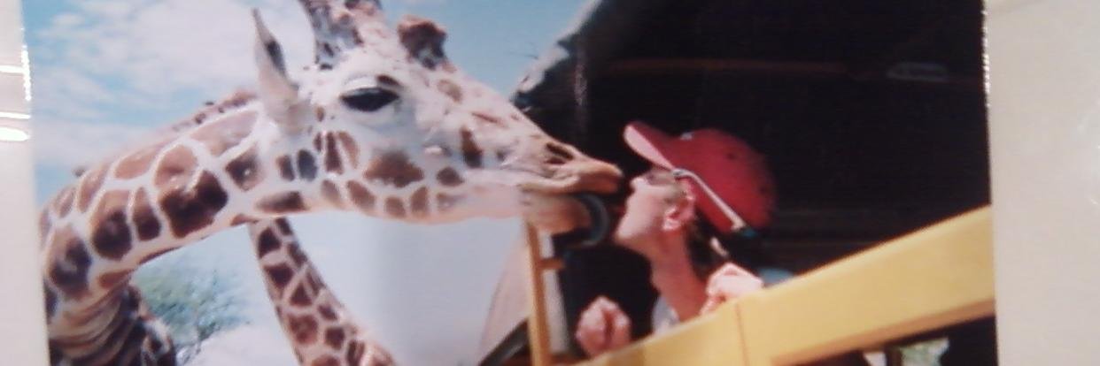 matlowercase's profile banner image