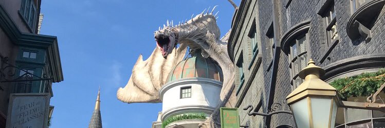 chellyneh's profile banner image
