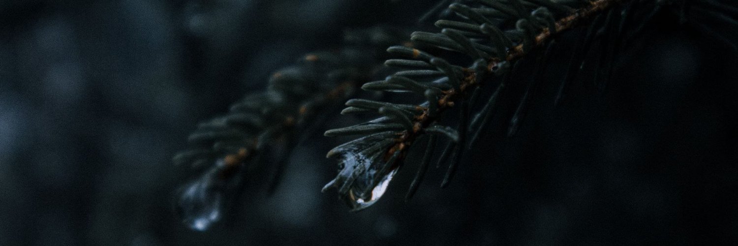 CheerSheer's profile banner image