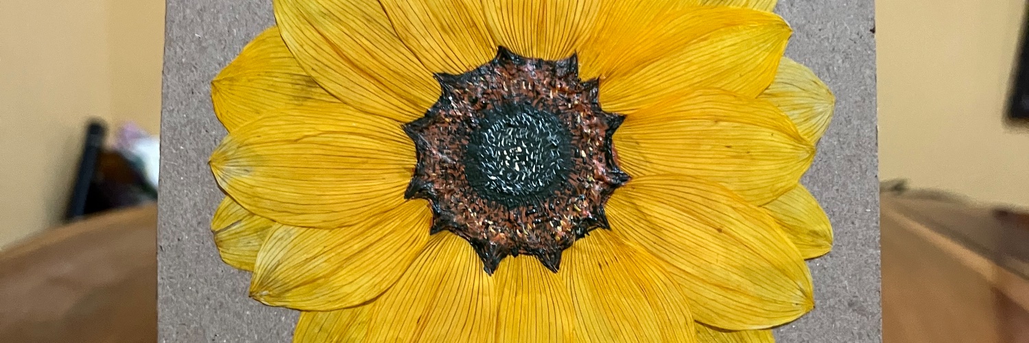 anvanesss's profile banner image