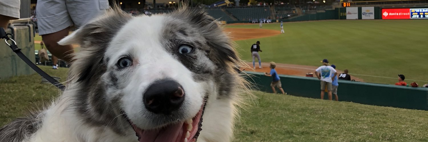 Tanner Parham banner