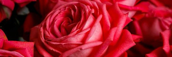 BruynChantal Profile Banner