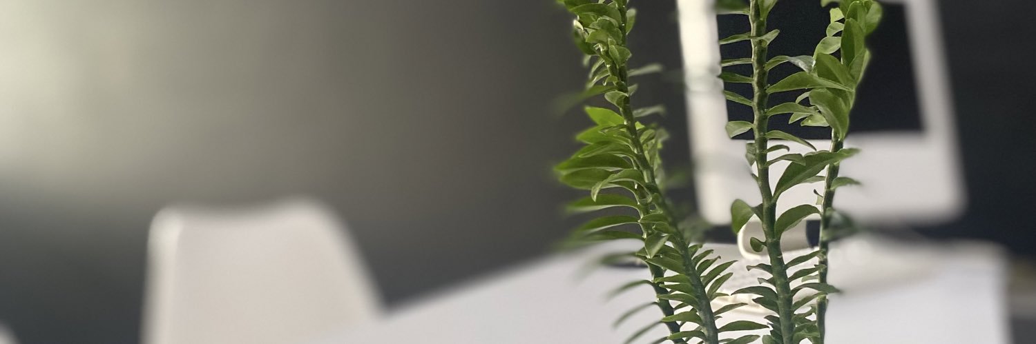 urogio's profile banner image
