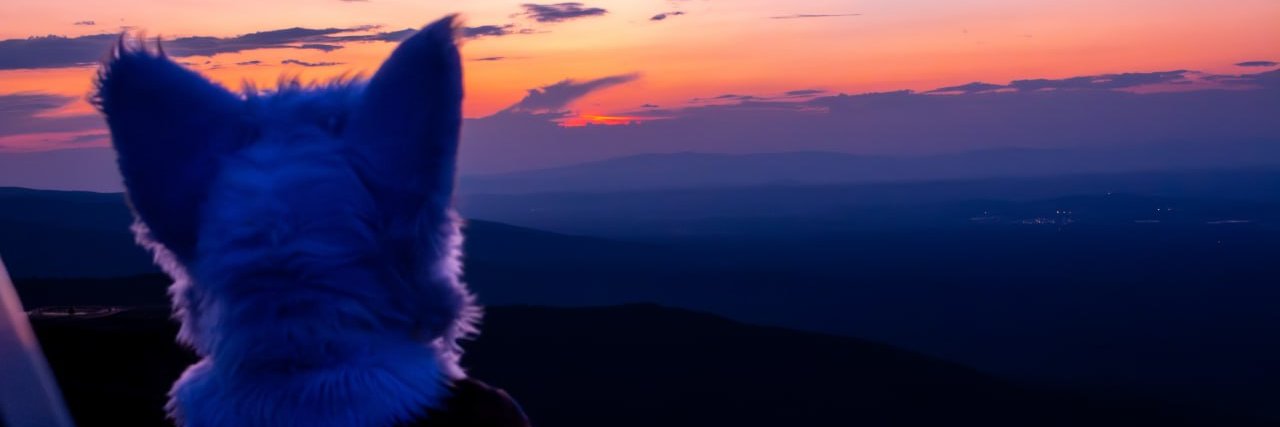 Woofles @ Home banner