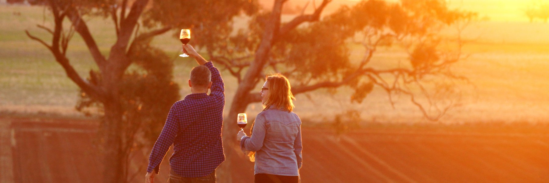 Talliswine's profile banner image