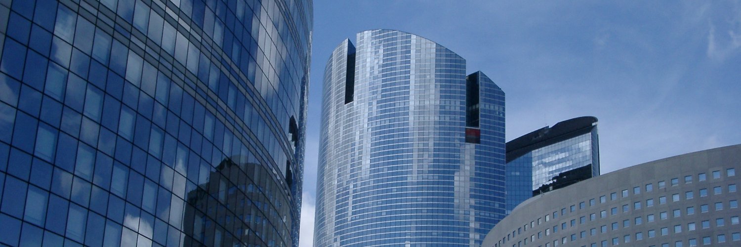 E Mobilitas banner