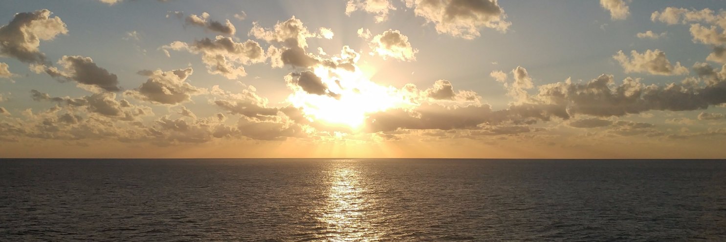brerenee91's profile banner image