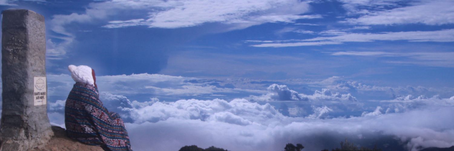 dedaunganja's profile banner image