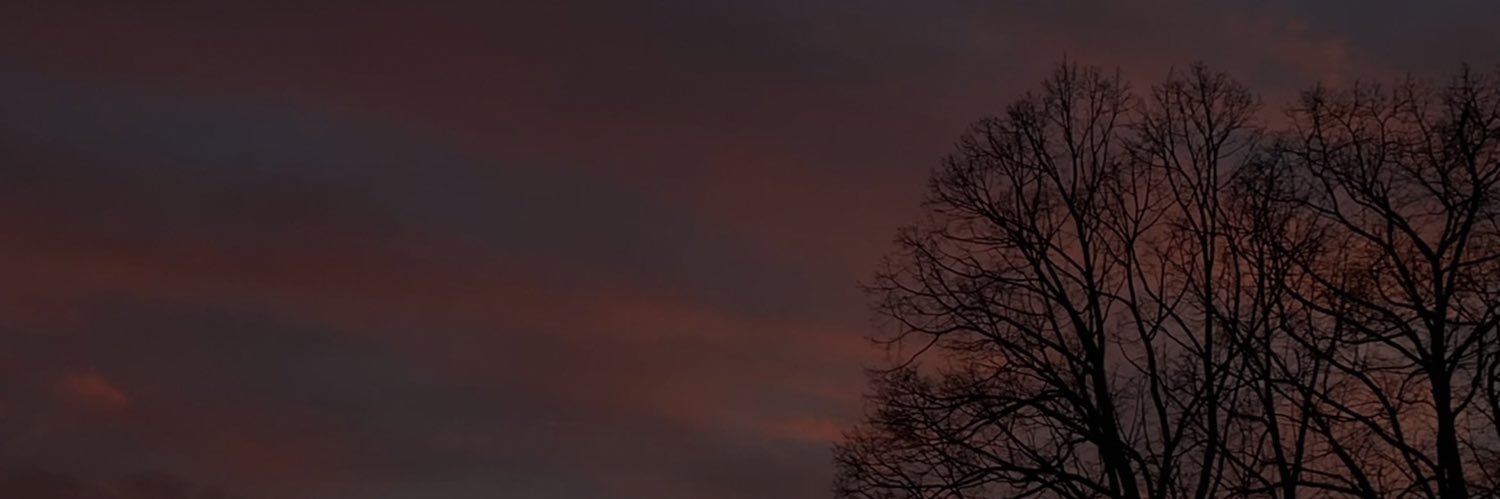 d0miinka's profile banner image