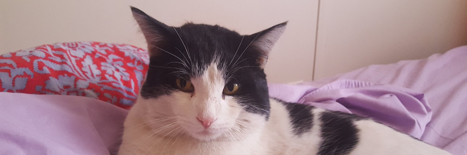 Tim is masking against The Weapon banner