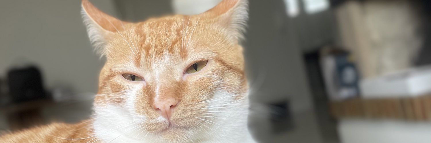 letfpto's profile banner image