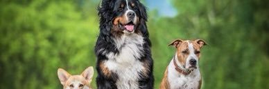 JBABSthe4th's profile banner image