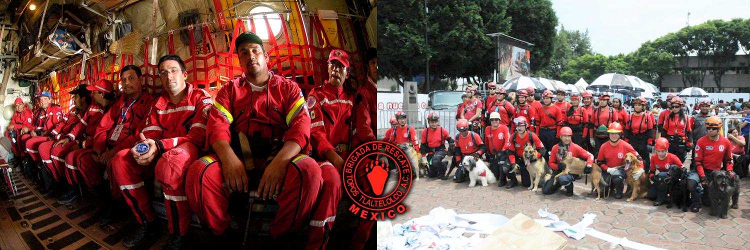 Topos® México banner