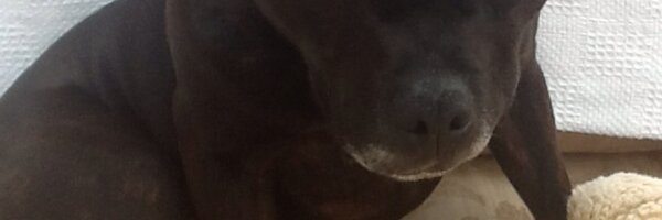 TogetherAngela Profile Banner