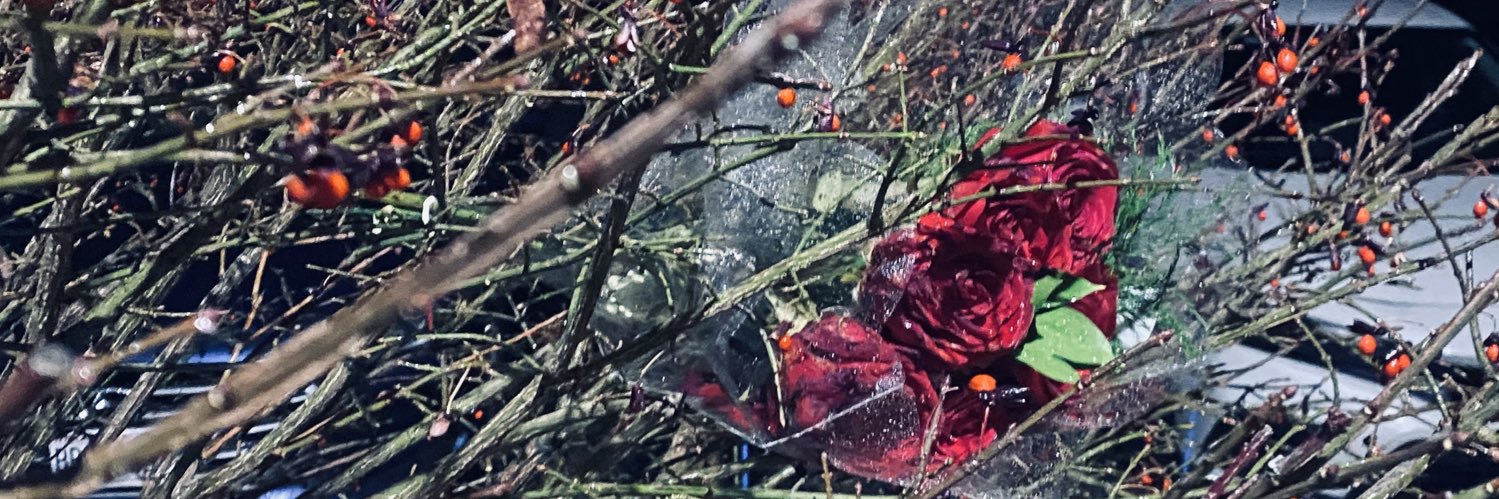 Heir to The Throne banner