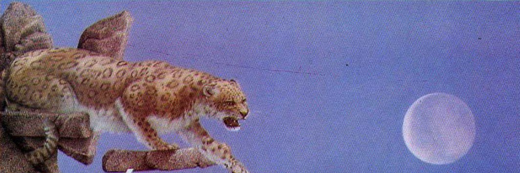 Prettylinda Gorgeousana banner