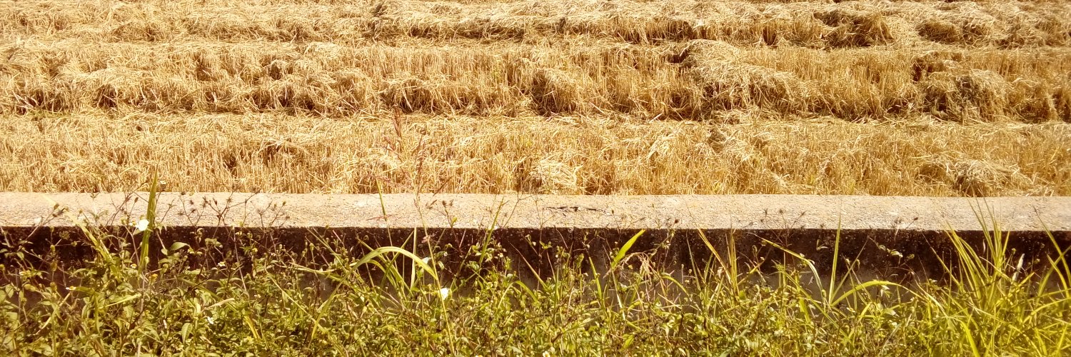 GiselGP's profile banner image