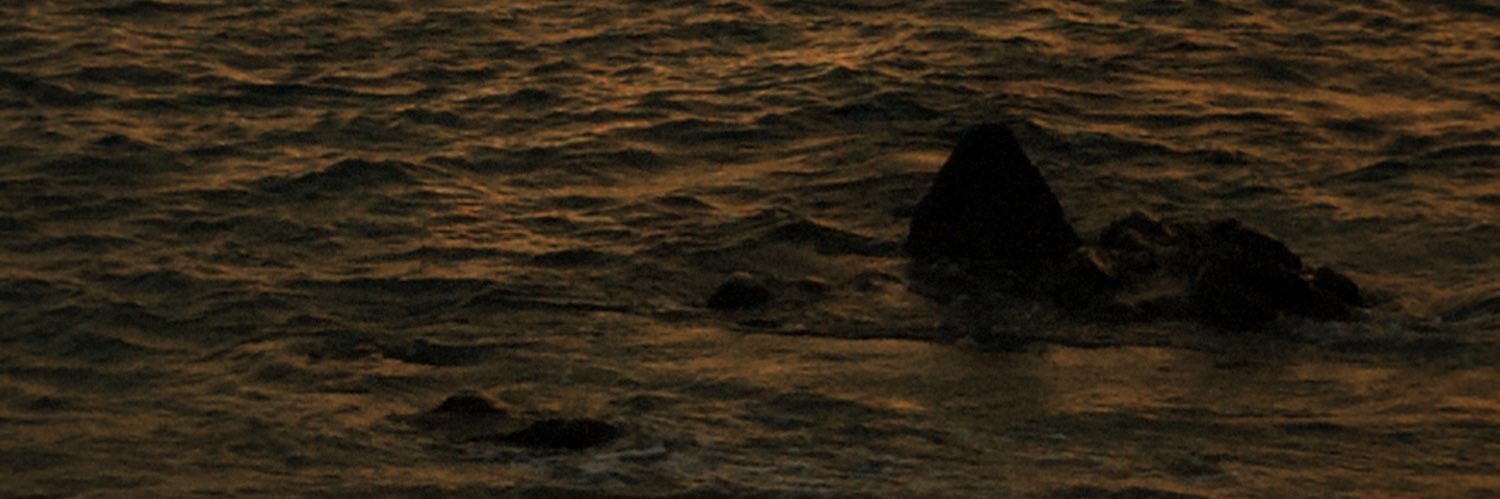 sfetxz's profile banner image
