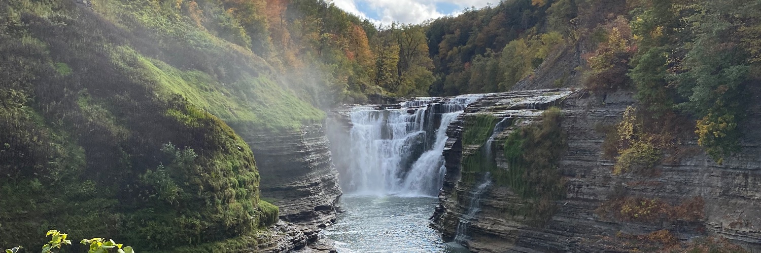 Scott Barkowski banner