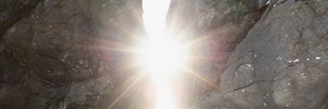 nosenshit's profile banner image
