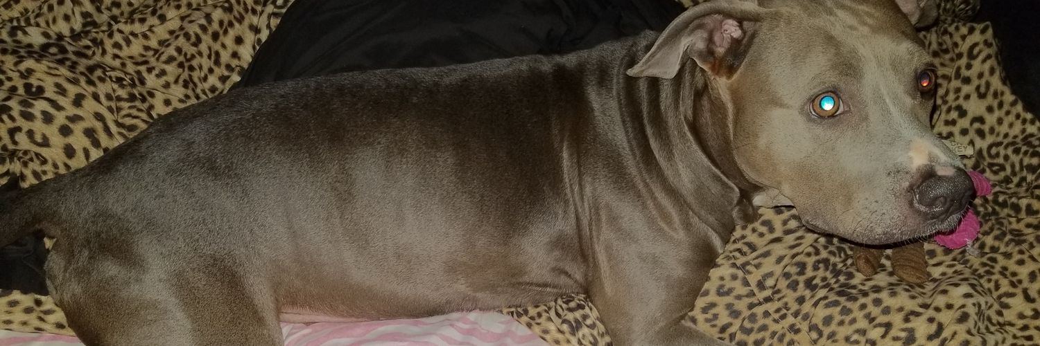 Martharose93's profile banner image