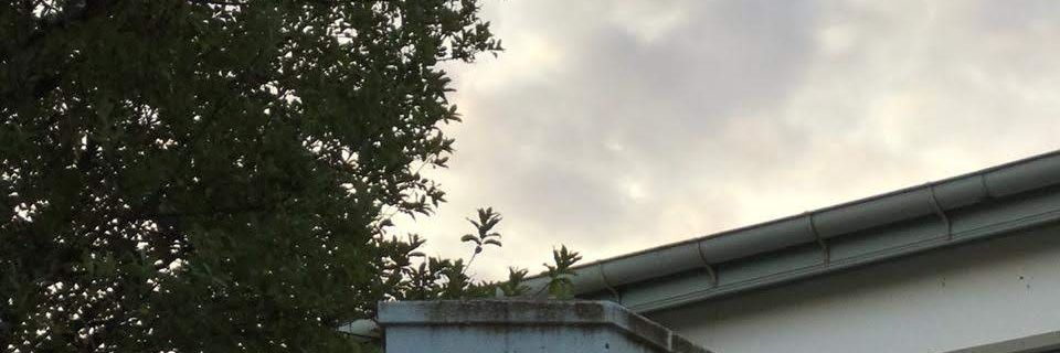 emagehtkuil's profile banner image