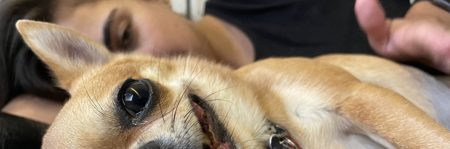 pulmão de diamante banner