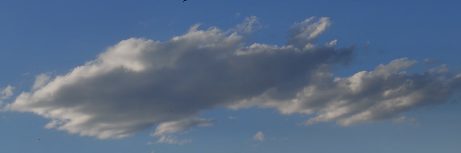 trodongs's profile banner image